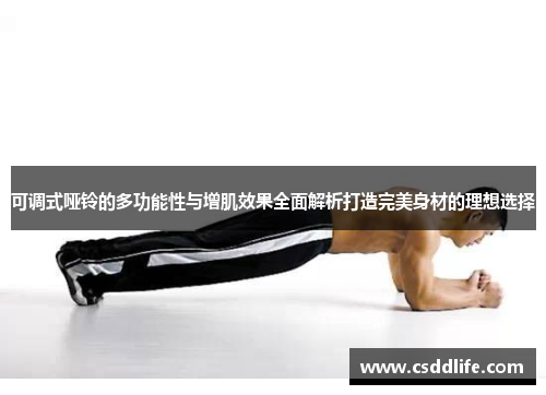可调式哑铃的多功能性与增肌效果全面解析打造完美身材的理想选择