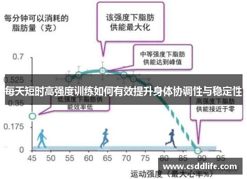 每天短时高强度训练如何有效提升身体协调性与稳定性