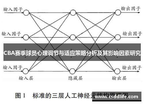 CBA赛季球员心理调节与适应策略分析及其影响因素研究