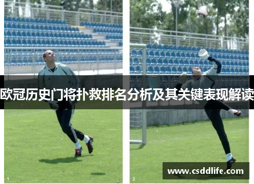 欧冠历史门将扑救排名分析及其关键表现解读
