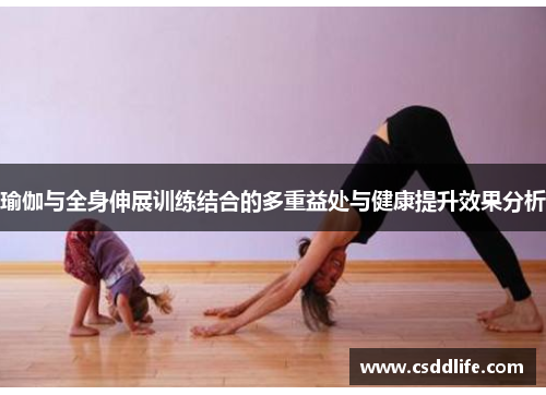 瑜伽与全身伸展训练结合的多重益处与健康提升效果分析