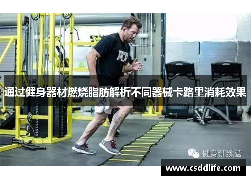 通过健身器材燃烧脂肪解析不同器械卡路里消耗效果