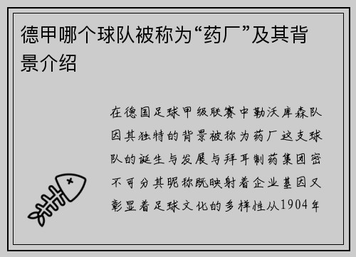 德甲哪个球队被称为“药厂”及其背景介绍